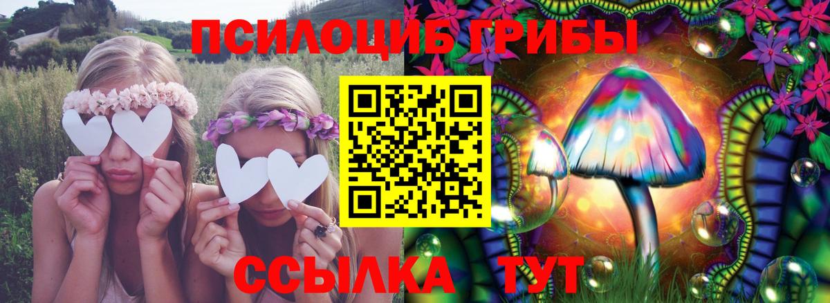 Псилоцибиновые грибы Cubensis Жигулёвск