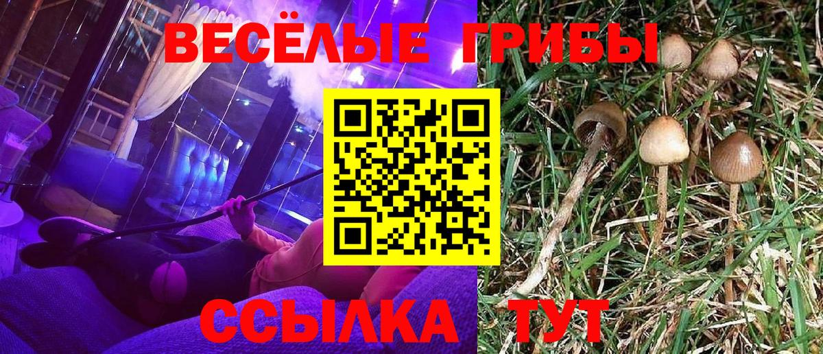 Псилоцибиновые грибы Magic Shrooms  Галлюциногенные грибы прущие грибы  Жигулёвск  Вход с VPN 